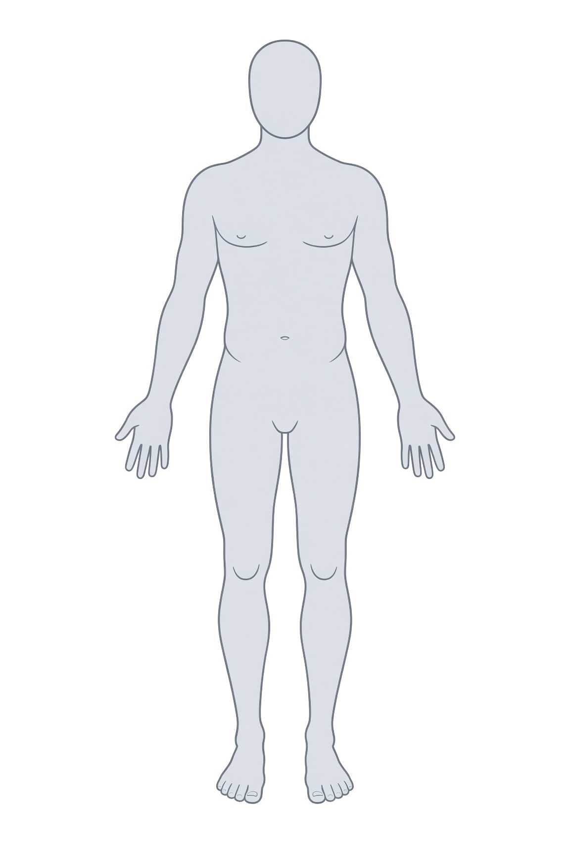 Anterior anatomical figure
